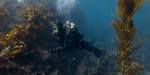 Scuba Diving Equipment List